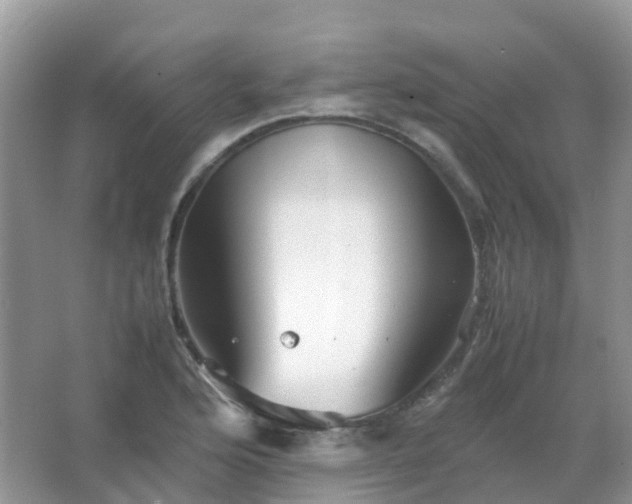 X0000067481176200604150008