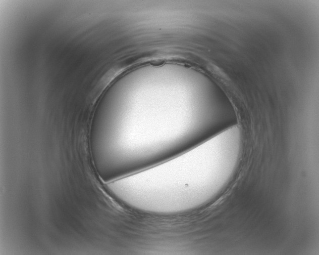 X0000067481177200604150008