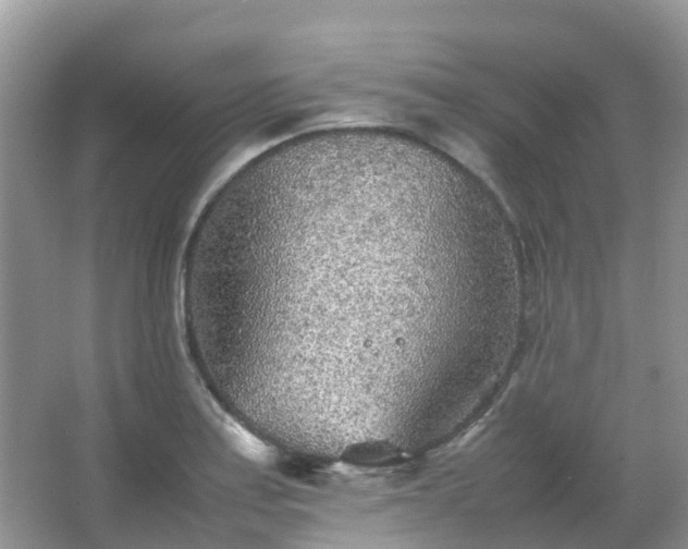 X0000067481179200604150008