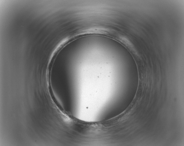 X0000067481180200604150008