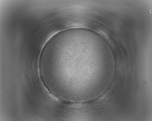 X0000067481182200604150008