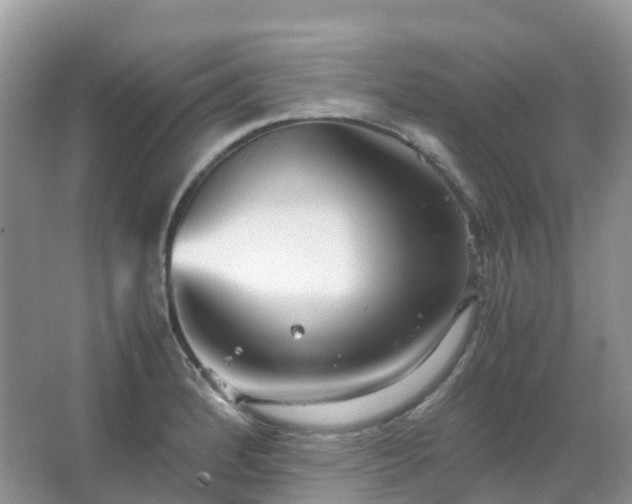 X0000067481184200604150008