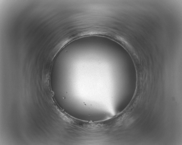 X0000067481185200604150008