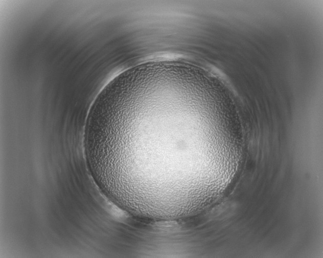 X0000067481186200604150008