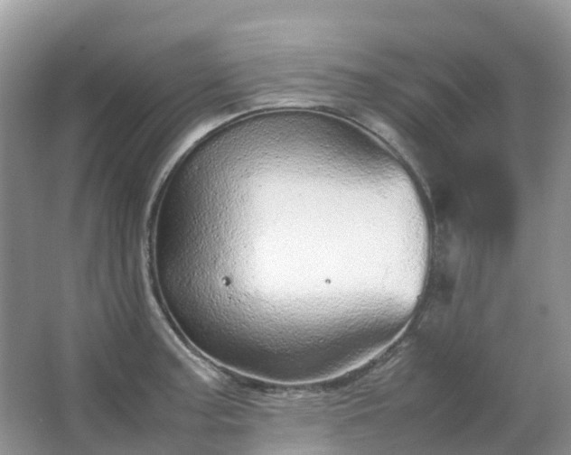 X0000067481187200604150008