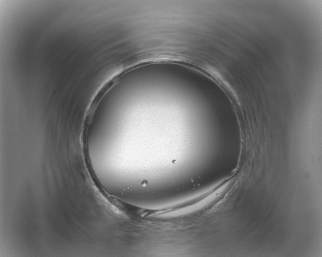 X0000067481189200604150008