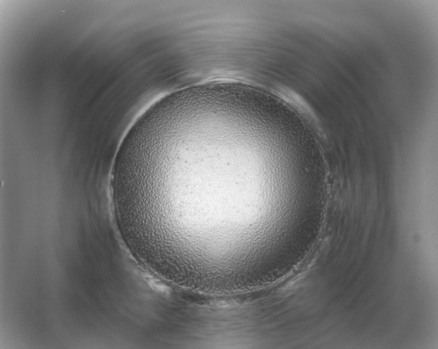 X0000067481190200604150008