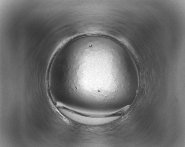 X0000067481191200604150008