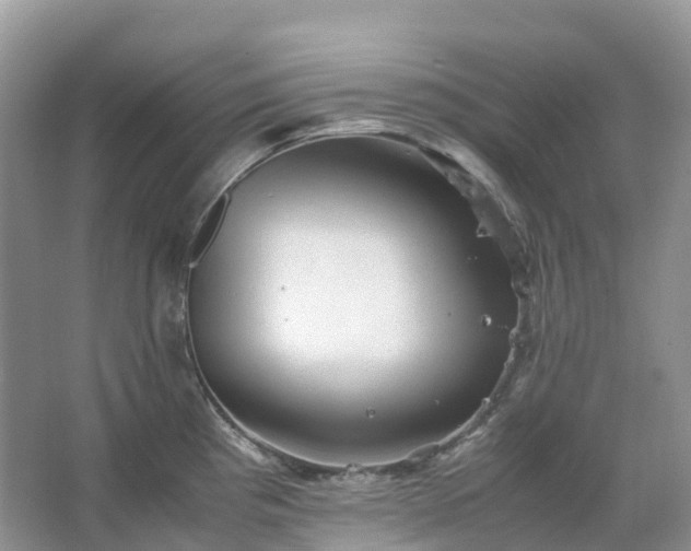 X0000067481193200604150008