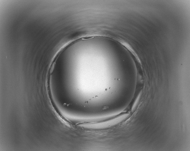 X0000067481197200604150008