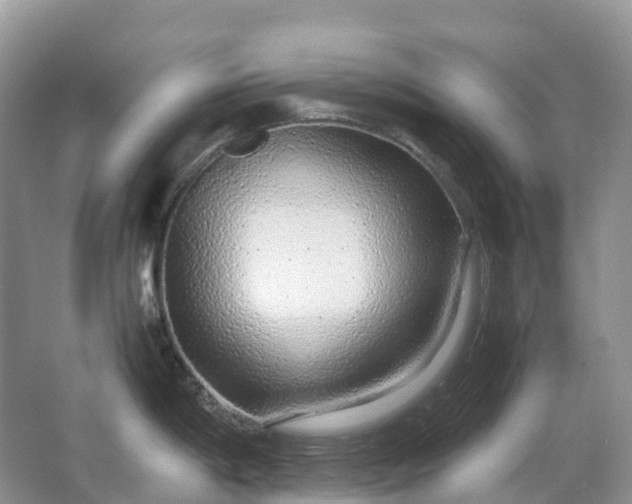 X0000067481198200604150008