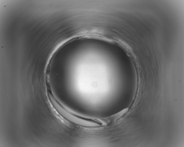 X0000067481200200604150008