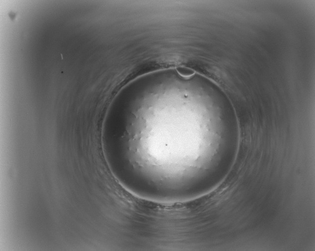 X0000067481201200604150007