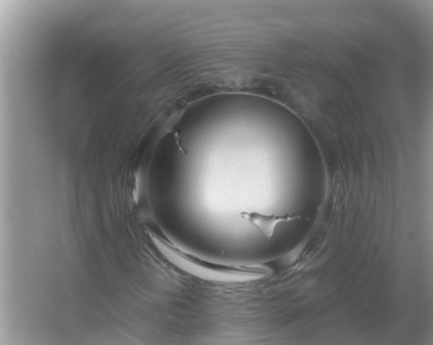 X0000067481202200604150007