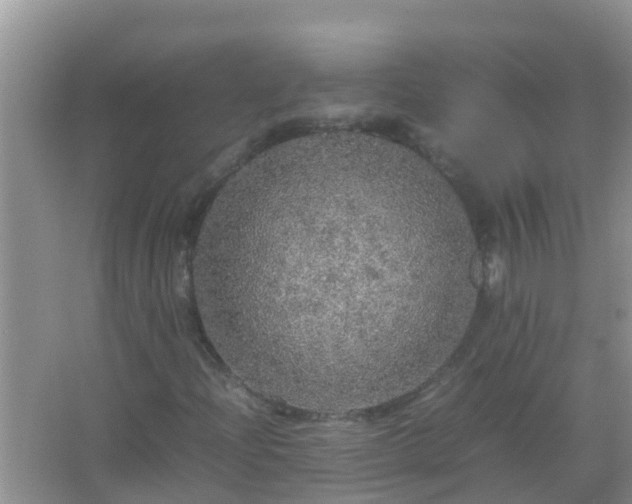 X0000067481204200604150007