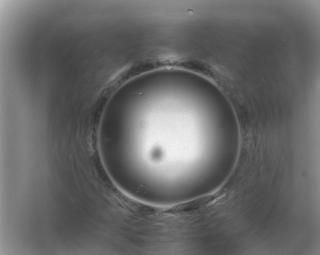 X0000067481205200604150007