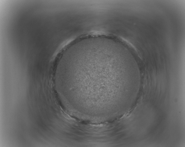 X0000067481207200604150007