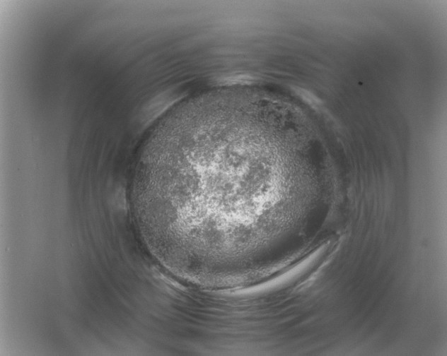 X0000067481209200604150007