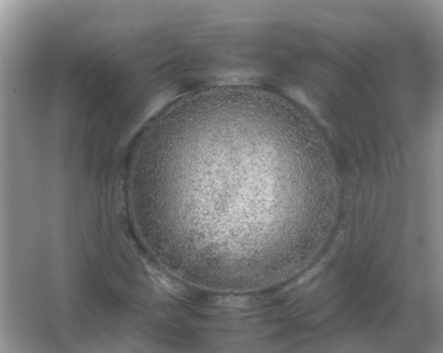 X0000067481211200604150007