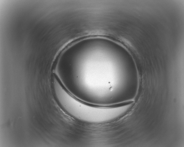 X0000067481212200604150007