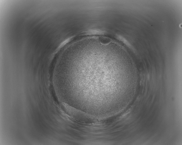 X0000067481213200604150007