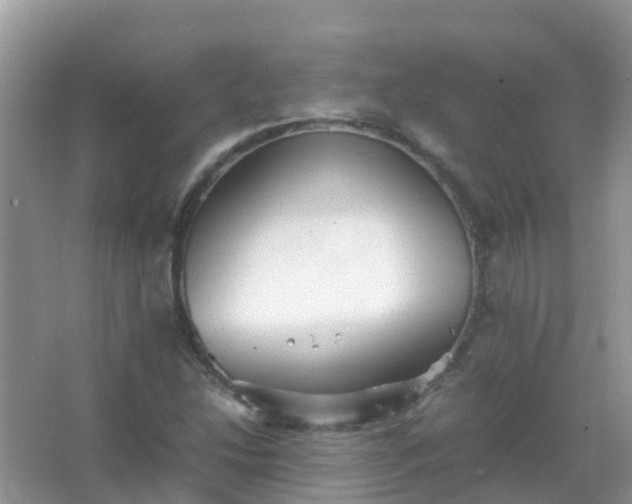 X0000067481214200604150007