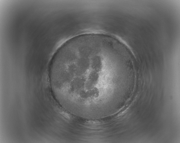 X0000067481215200604150007