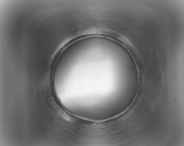 X0000067481216200604150007