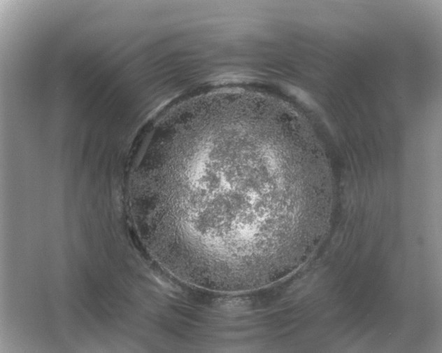 X0000067481217200604150007