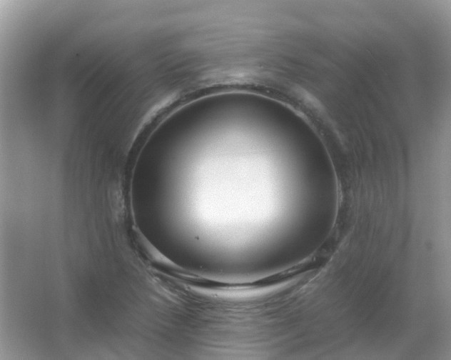 X0000067481218200604150007