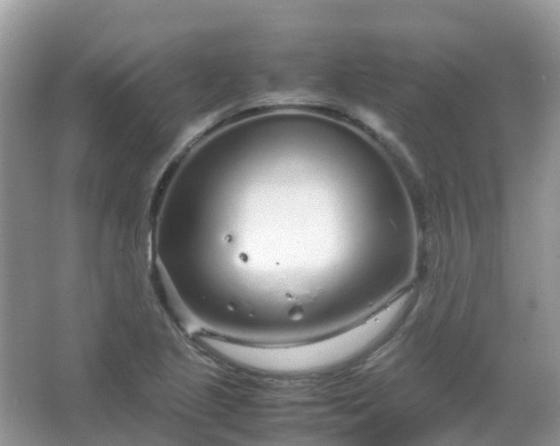 X0000067481221200604150007