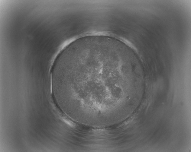 X0000067481223200604150007