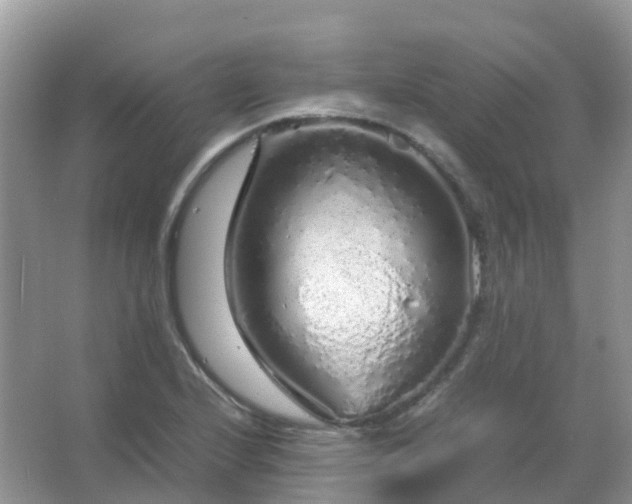 X0000067481224200604150007