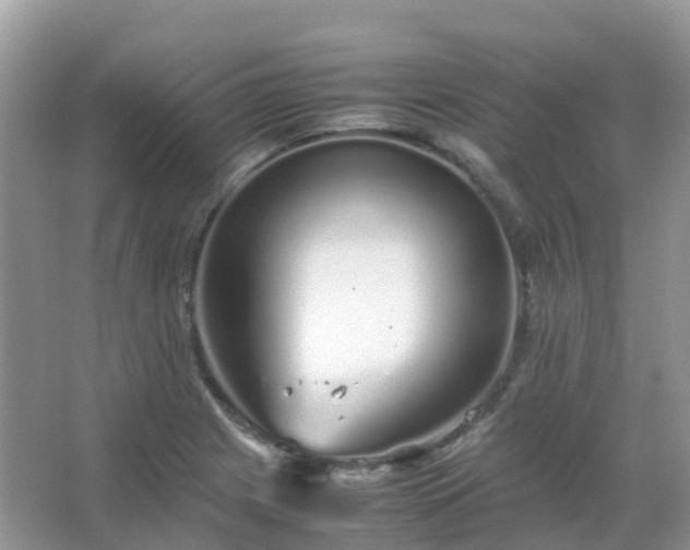 X0000067481225200604150007