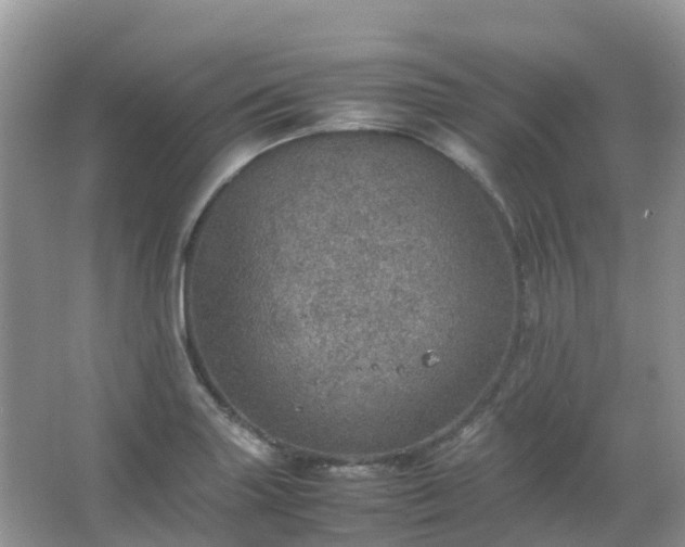 X0000067481227200604150007