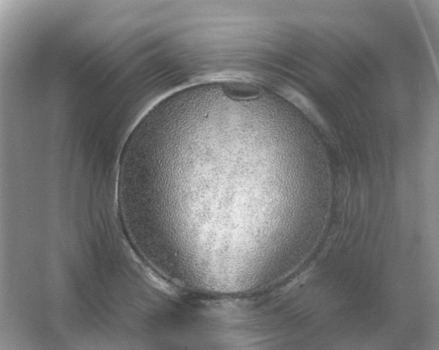 X0000067481228200604150007