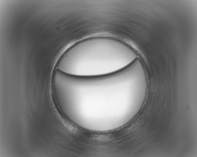 X0000067481229200604150008