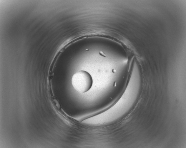 X0000067481234200604150008