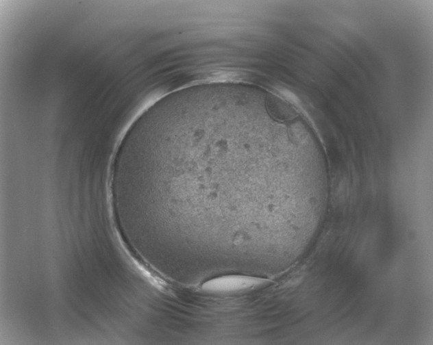 X0000067481235200604150008