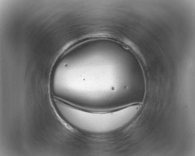 X0000067481237200604150008