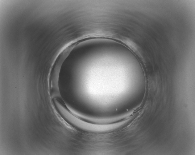 X0000067481238200604150008