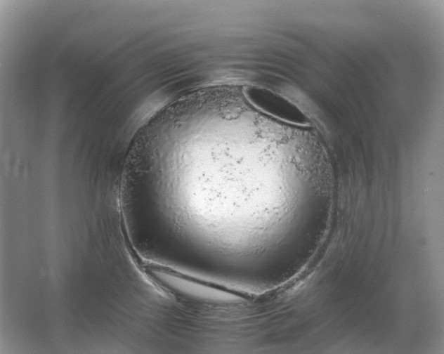 X0000067481241200604150008