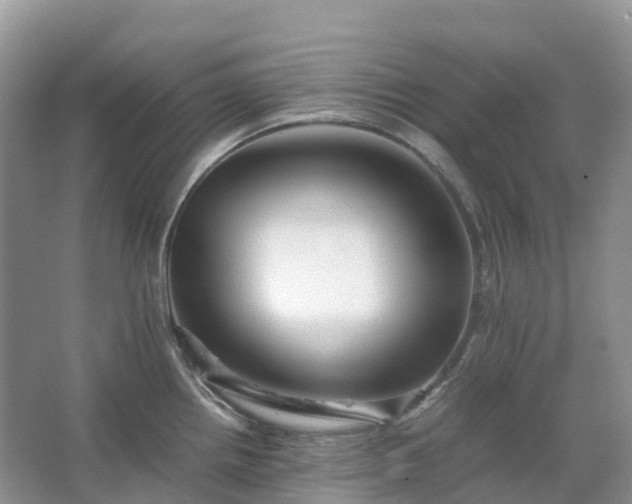 X0000067481242200604150008