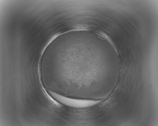 X0000067481243200604150008