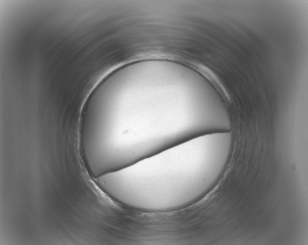 X0000067481244200604150008