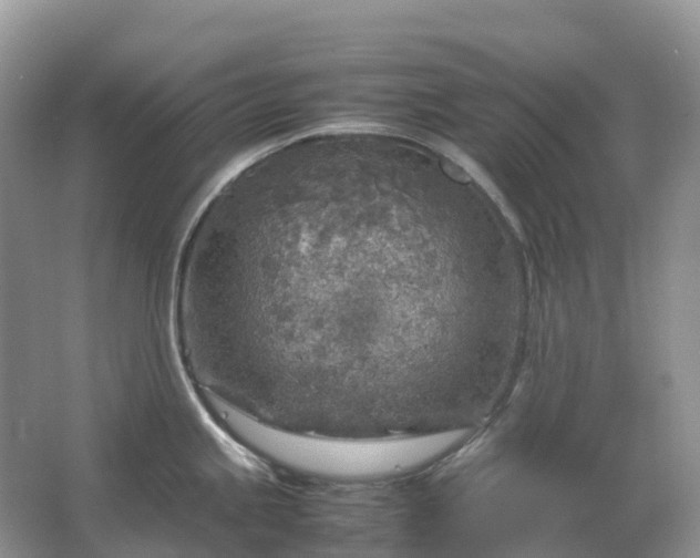 X0000067481245200604150008