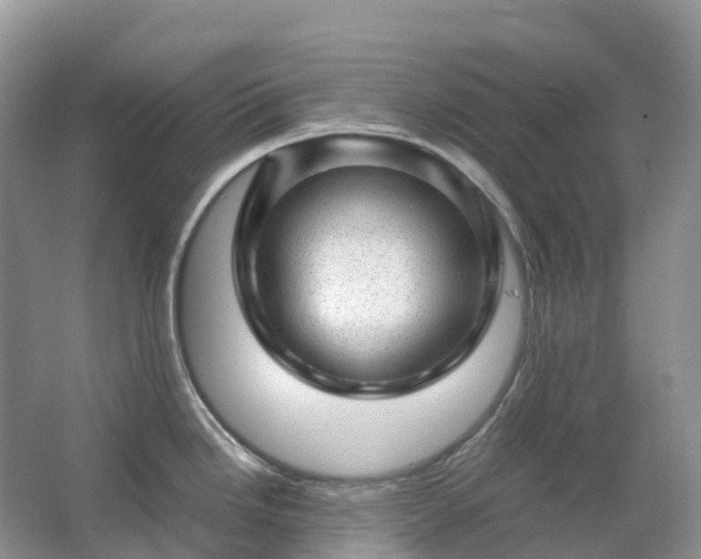 X0000067481246200604150008