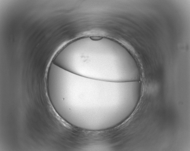 X0000067481248200604150008