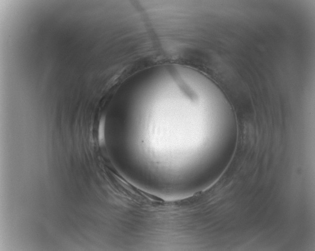 X0000067481250200604150007