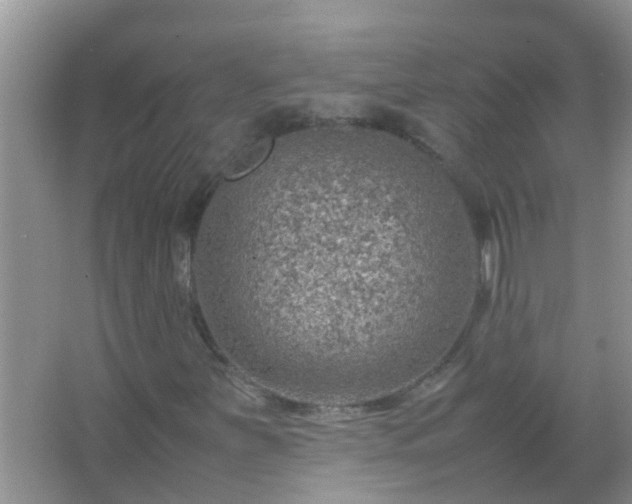 X0000067481251200604150007